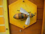 Wir lernen viel über die Honigbiene (13)